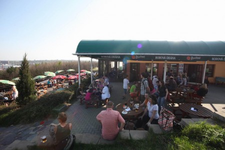 bobova-draha-a-lanovy-park-prosek